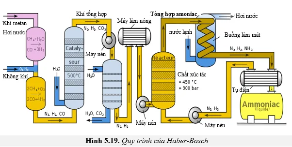 Infographic mô tả các bước chính của quy trình Haber-Bosch sản xuất Amoniac, bao gồm nguồn nguyên liệu, điều kiện phản ứng và sản phẩm
