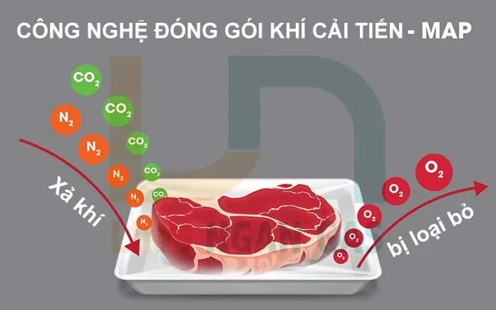 Khí Nitơ trong bảo quản và đóng gói thực phẩm MAP